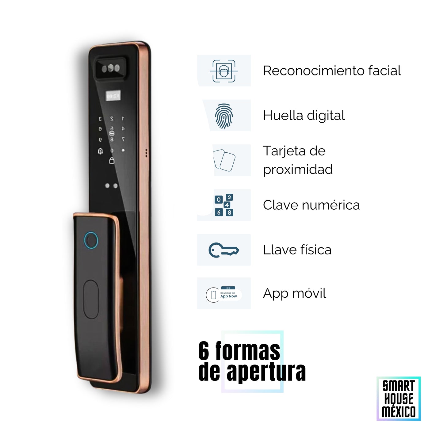 Cerradura Electrónica Wifi De Seguridad con Timbre y 6 Métodos de Apertura - Vortex