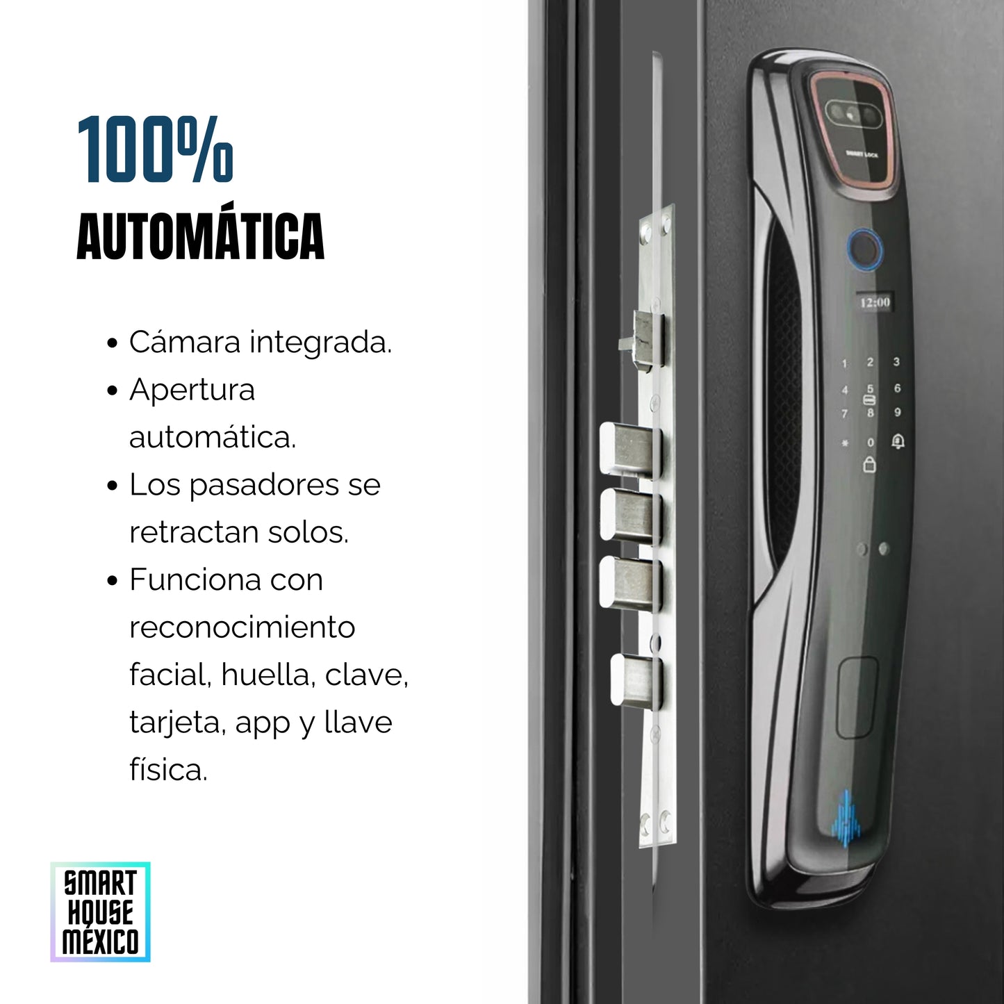 Cerradura Electrónica Wifi De Seguridad con Timbre y 6 Métodos de Apertura - Spectrum