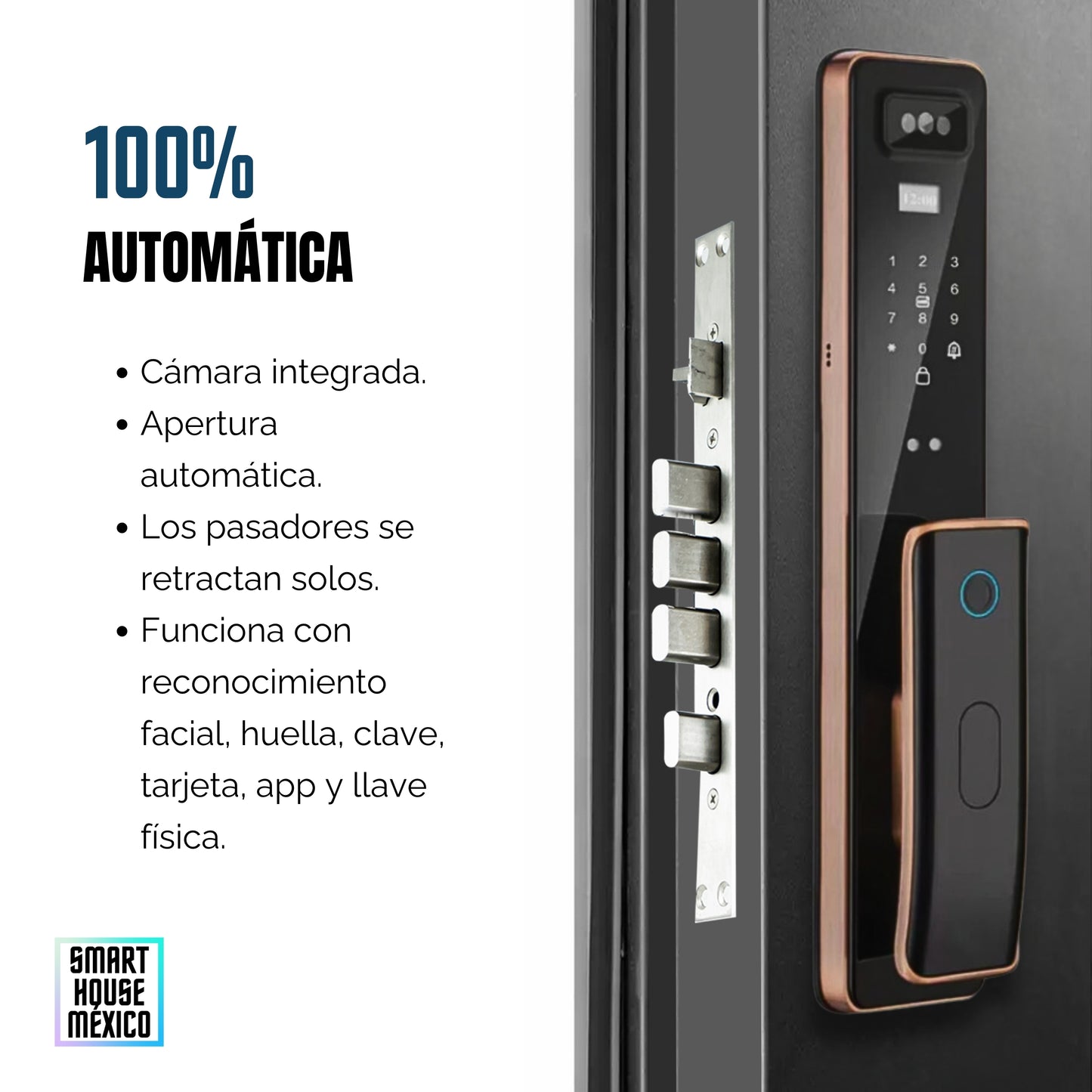 Cerradura Electrónica Wifi De Seguridad con Timbre y 6 Métodos de Apertura - Vortex