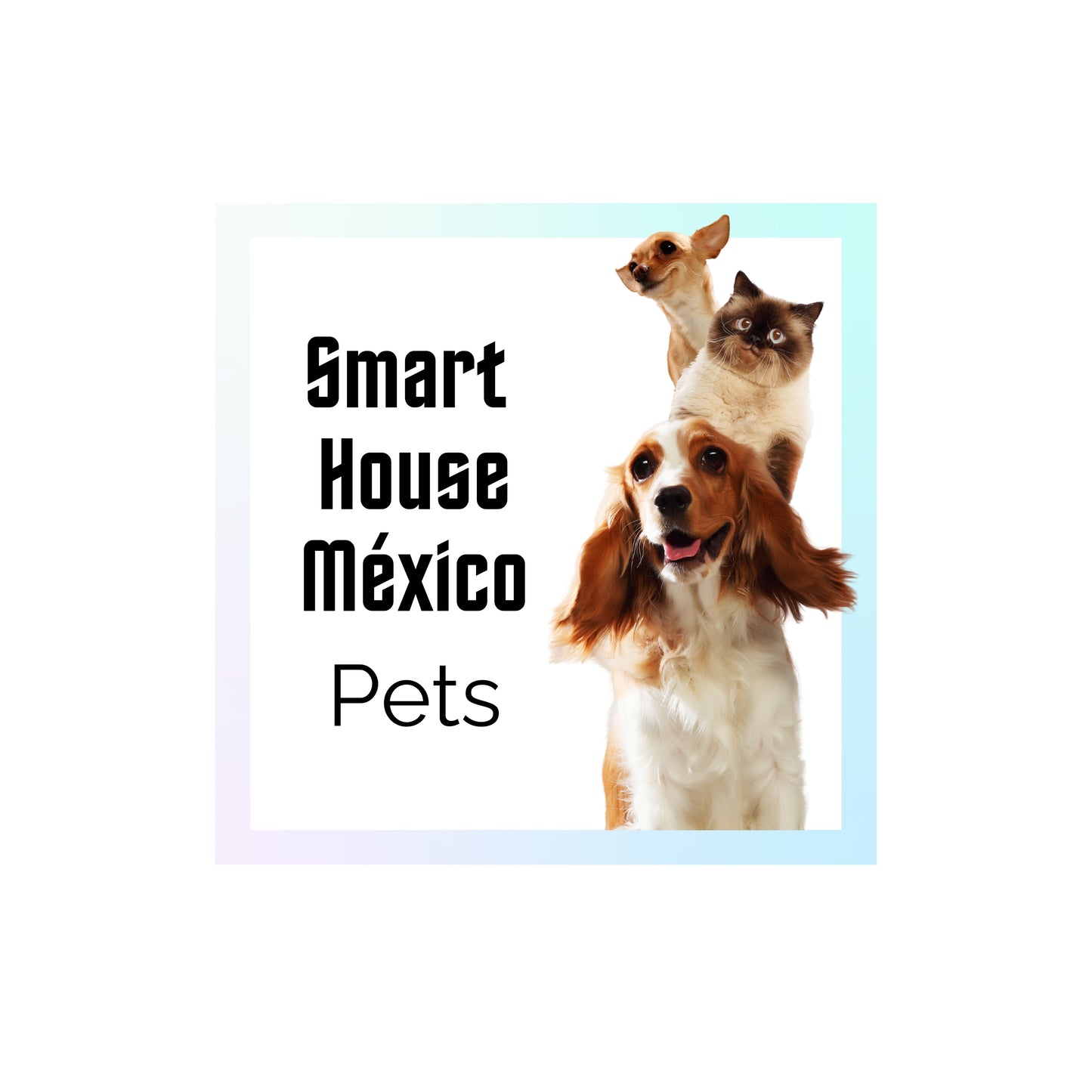 Comedero Inteligente para Mascotas con Cámara HD - Nova