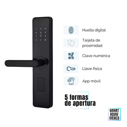 Cerradura de Seguridad 5 Métodos de Apertura - NebulaI