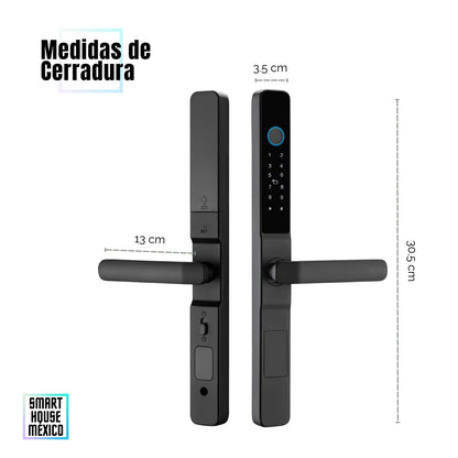 Cerradura Electrónica Inteligente de Seguridad con 5 Métodos de Apertura Puerta Corrediza – Blaze HD